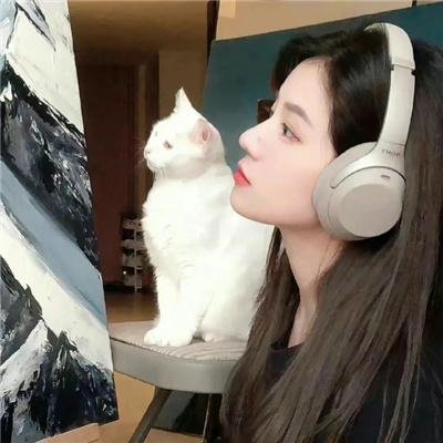 我的人生冒险
